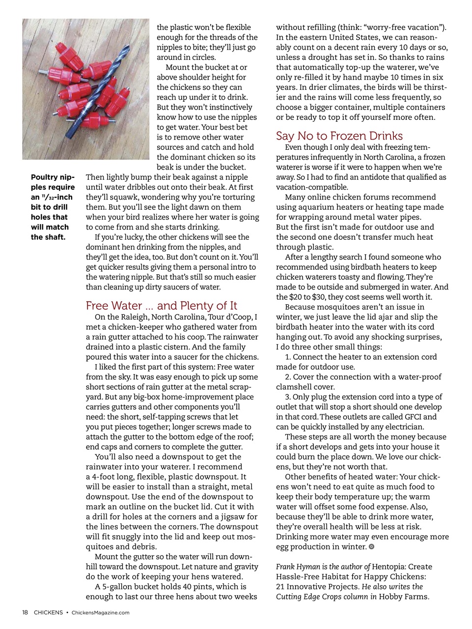 Chickens Magazine Preview Pages