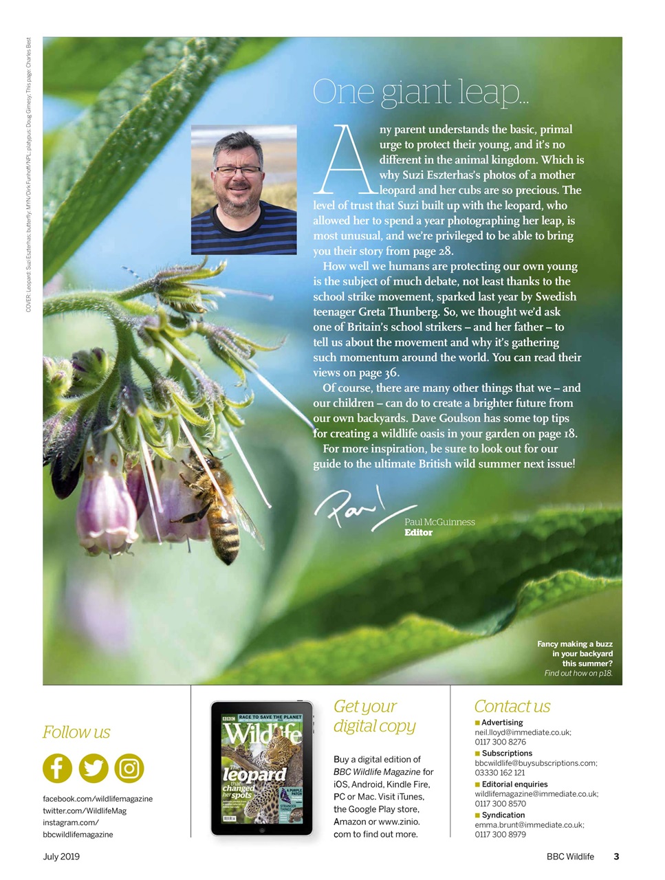 BBC Wildlife Magazine Preview Pages