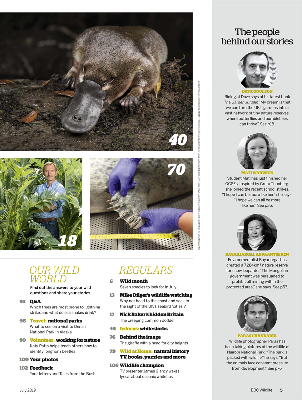 BBC Wildlife Magazine Preview Pages