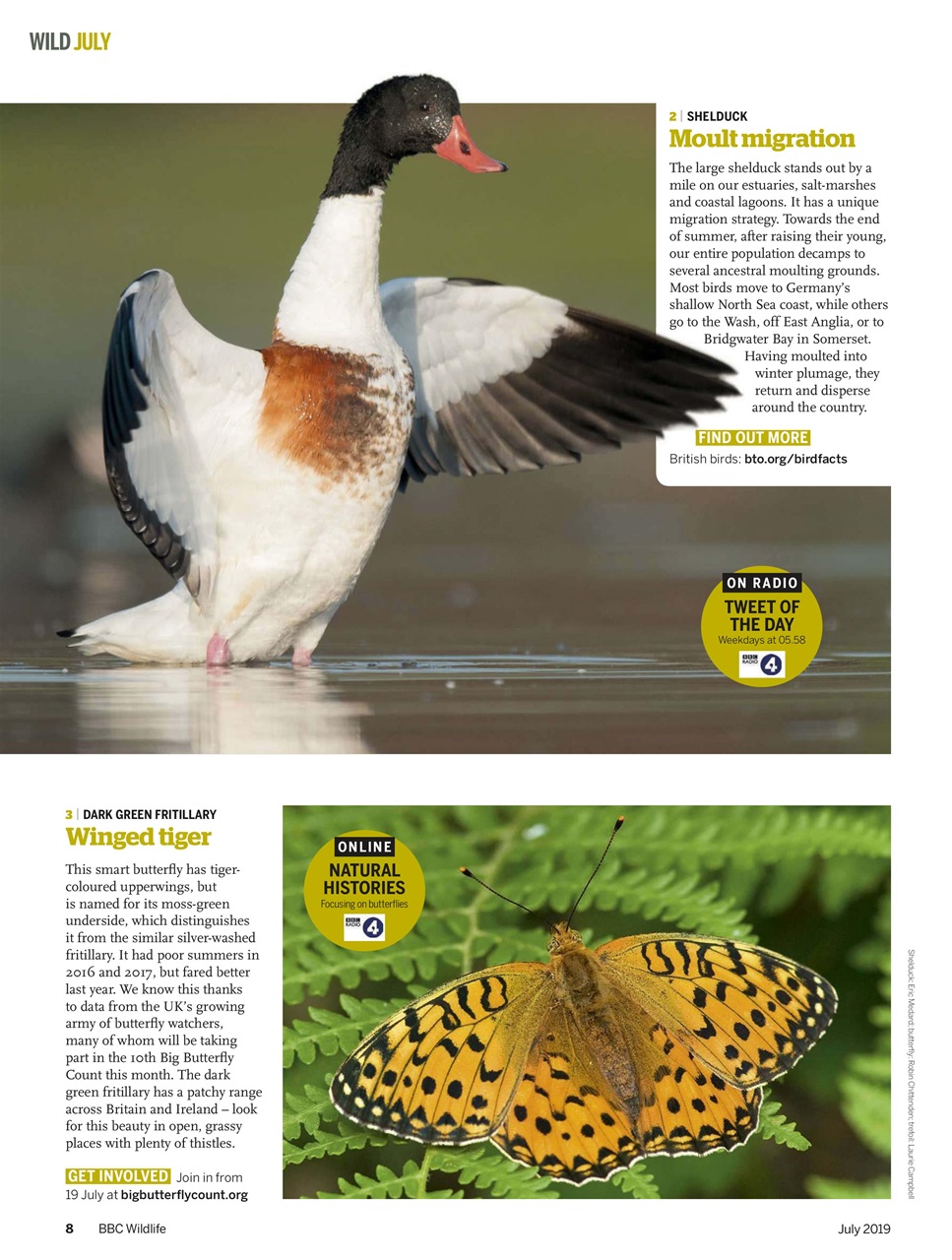 BBC Wildlife Magazine Preview Pages