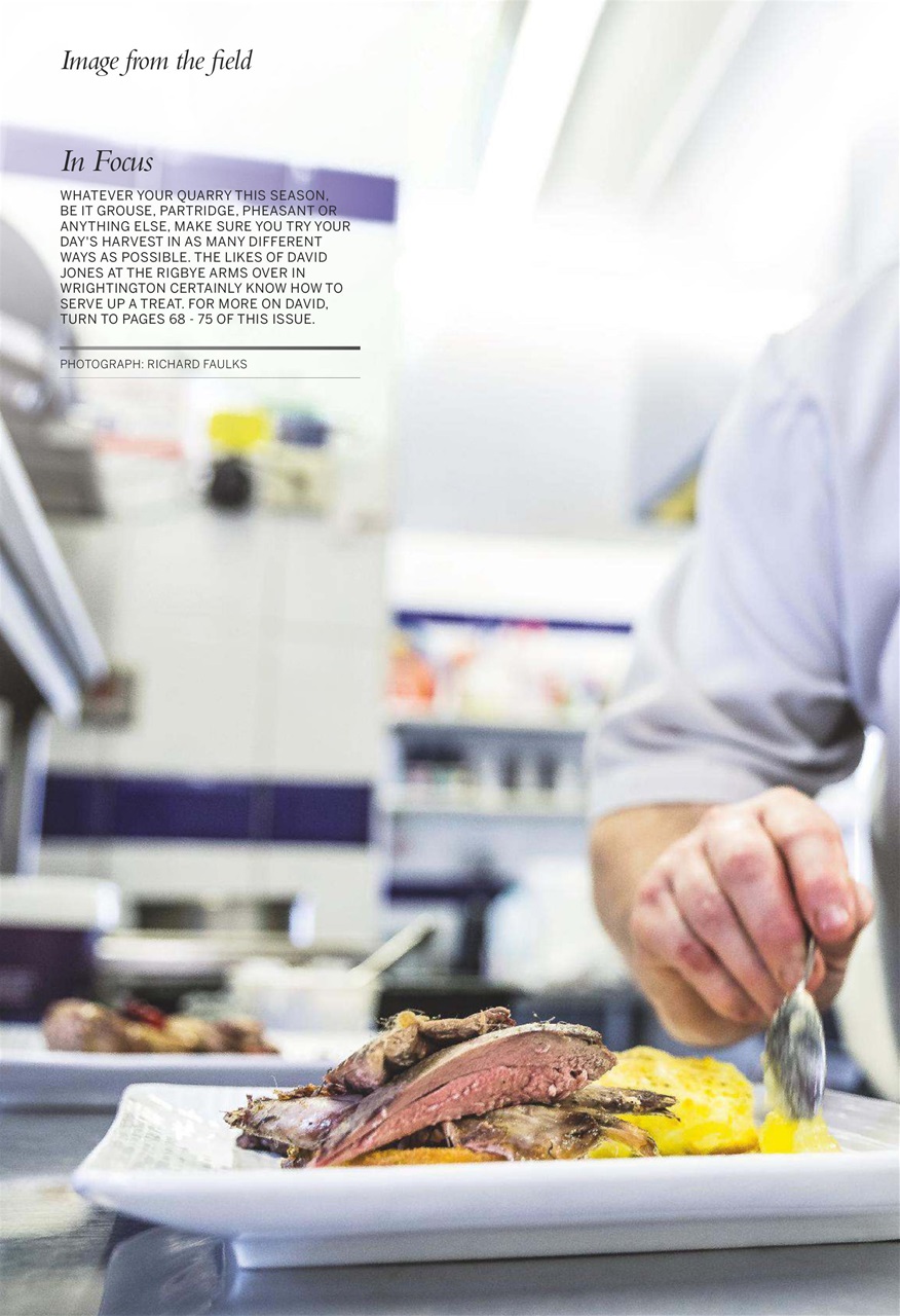 Shooting Gazette Preview Pages