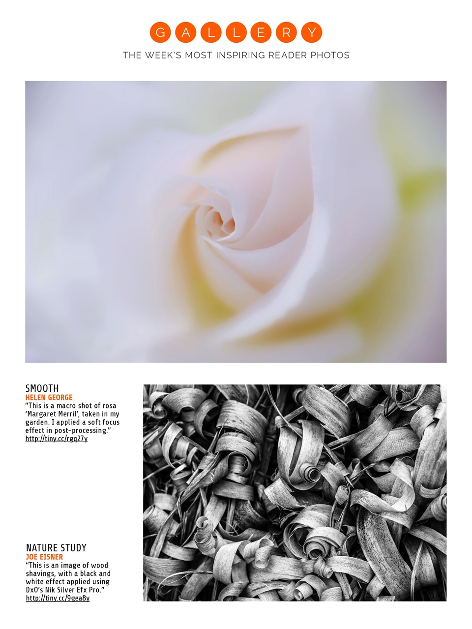 Photography Week Preview Pages