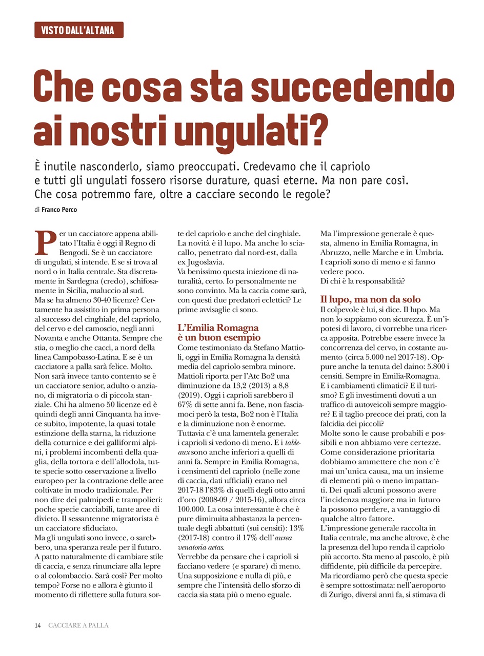 Caccia Magazine Preview Pages