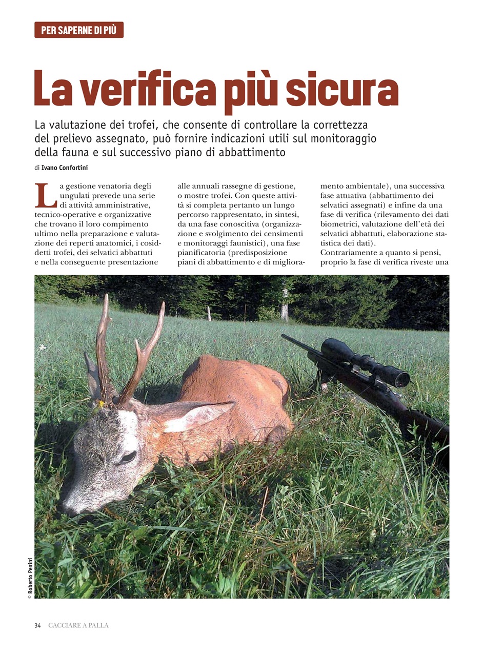 Caccia Magazine Preview Pages