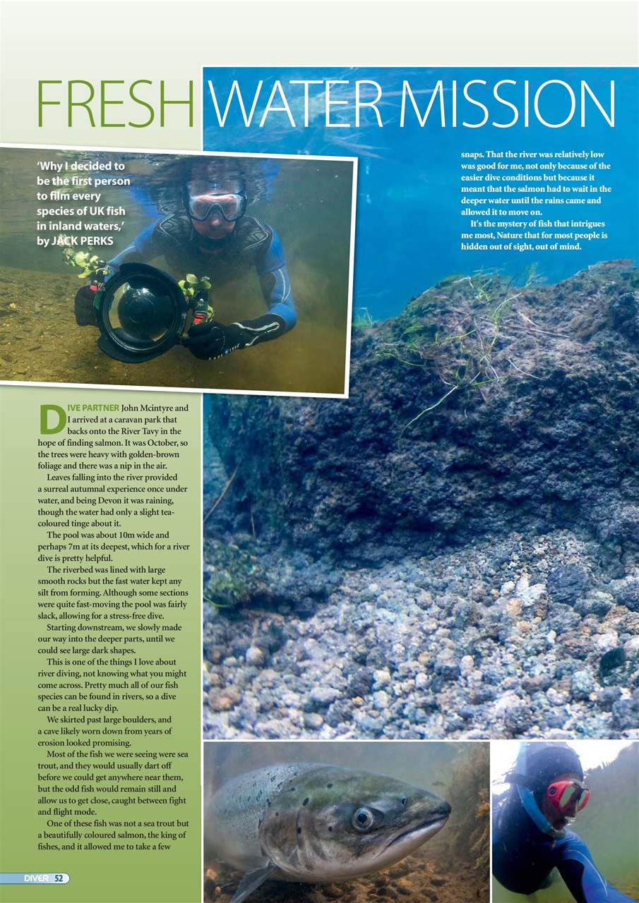 DIVER Preview Pages