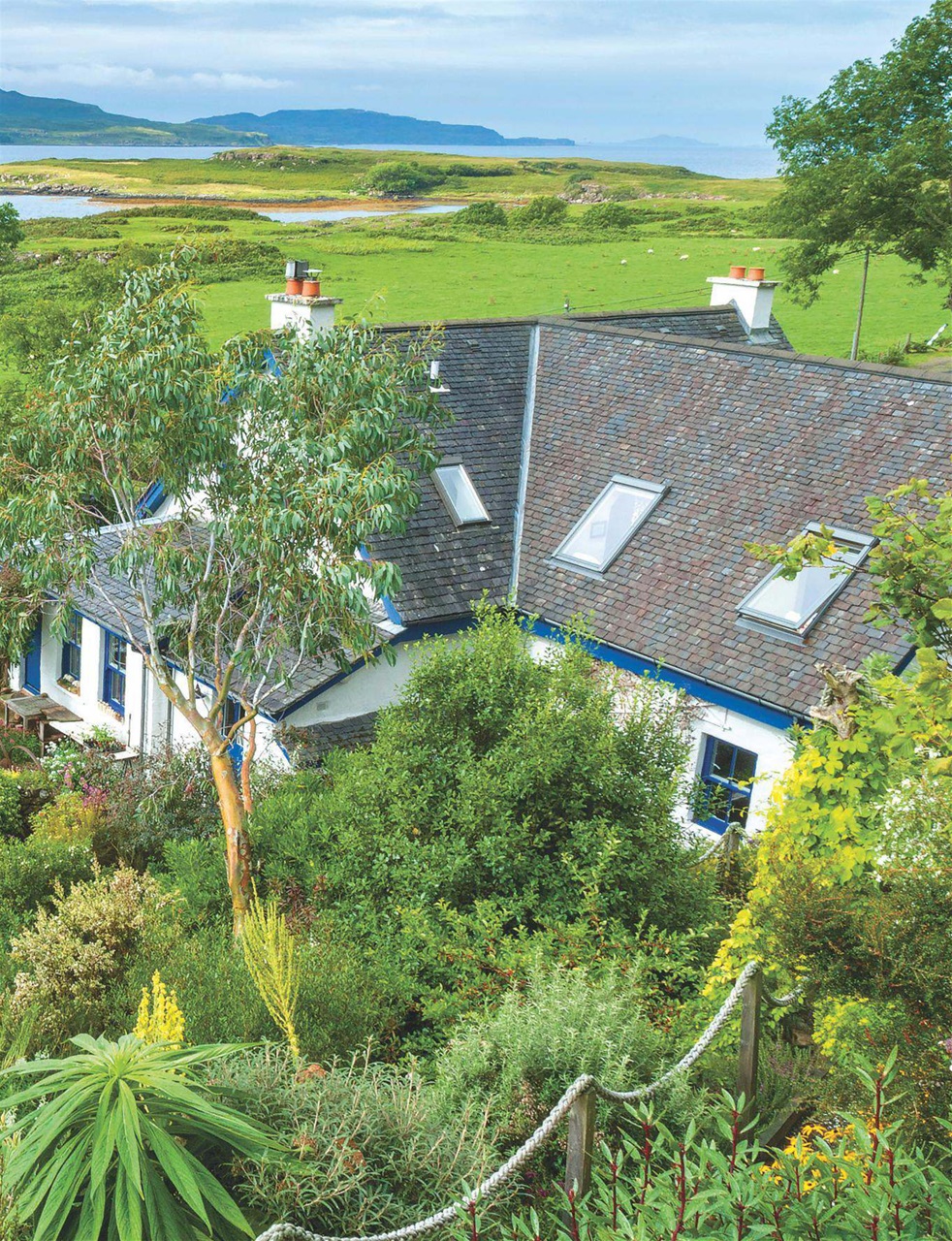 Country Life Preview Pages