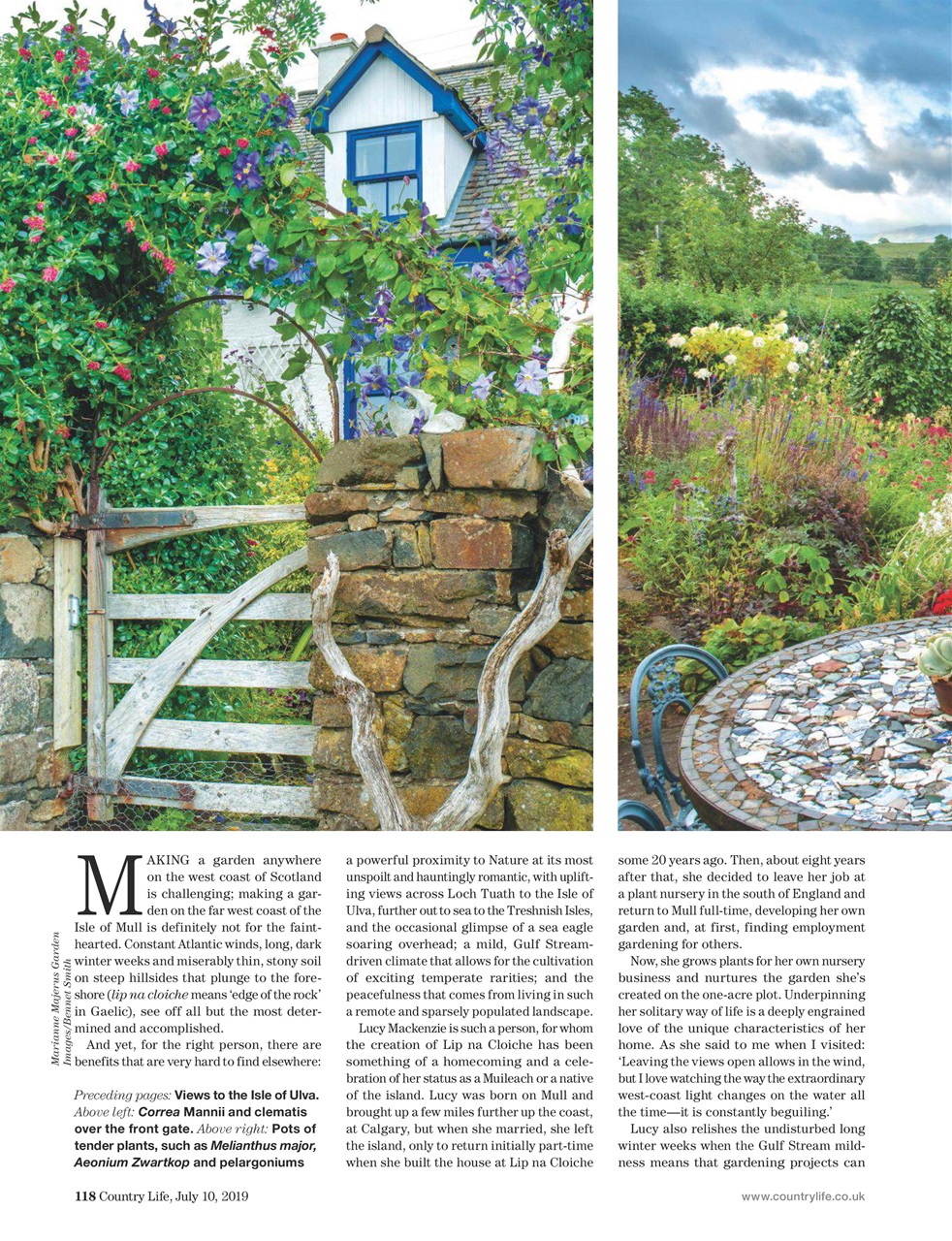Country Life Preview Pages