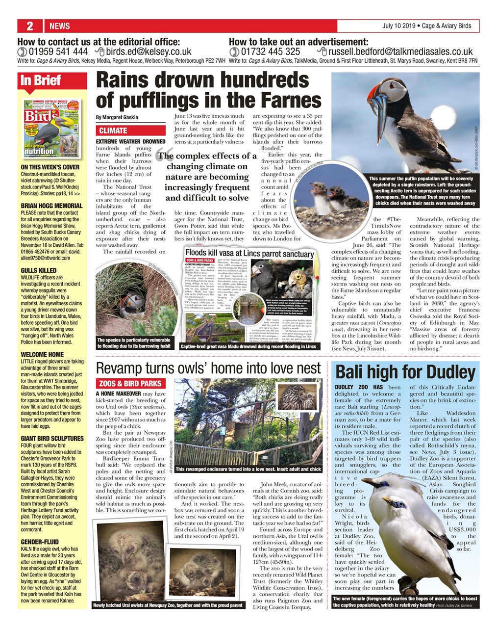 Cage & Aviary Birds Preview Pages