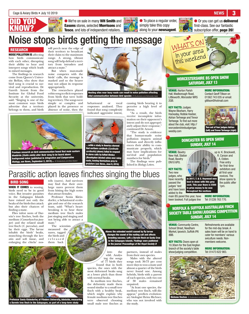 Cage & Aviary Birds Preview Pages