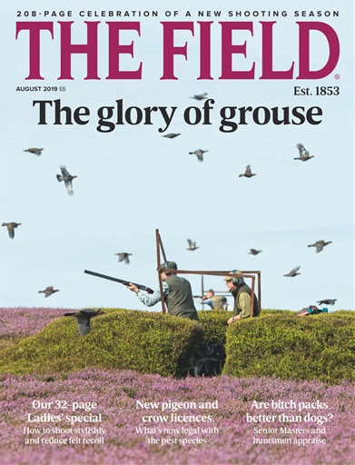 The Field issue 