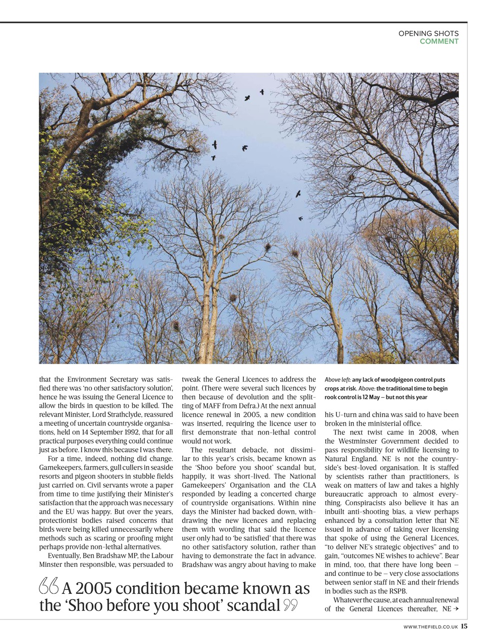 The Field Preview Pages