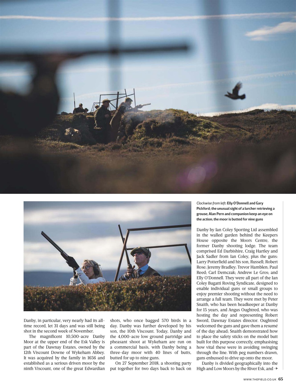 The Field Preview Pages