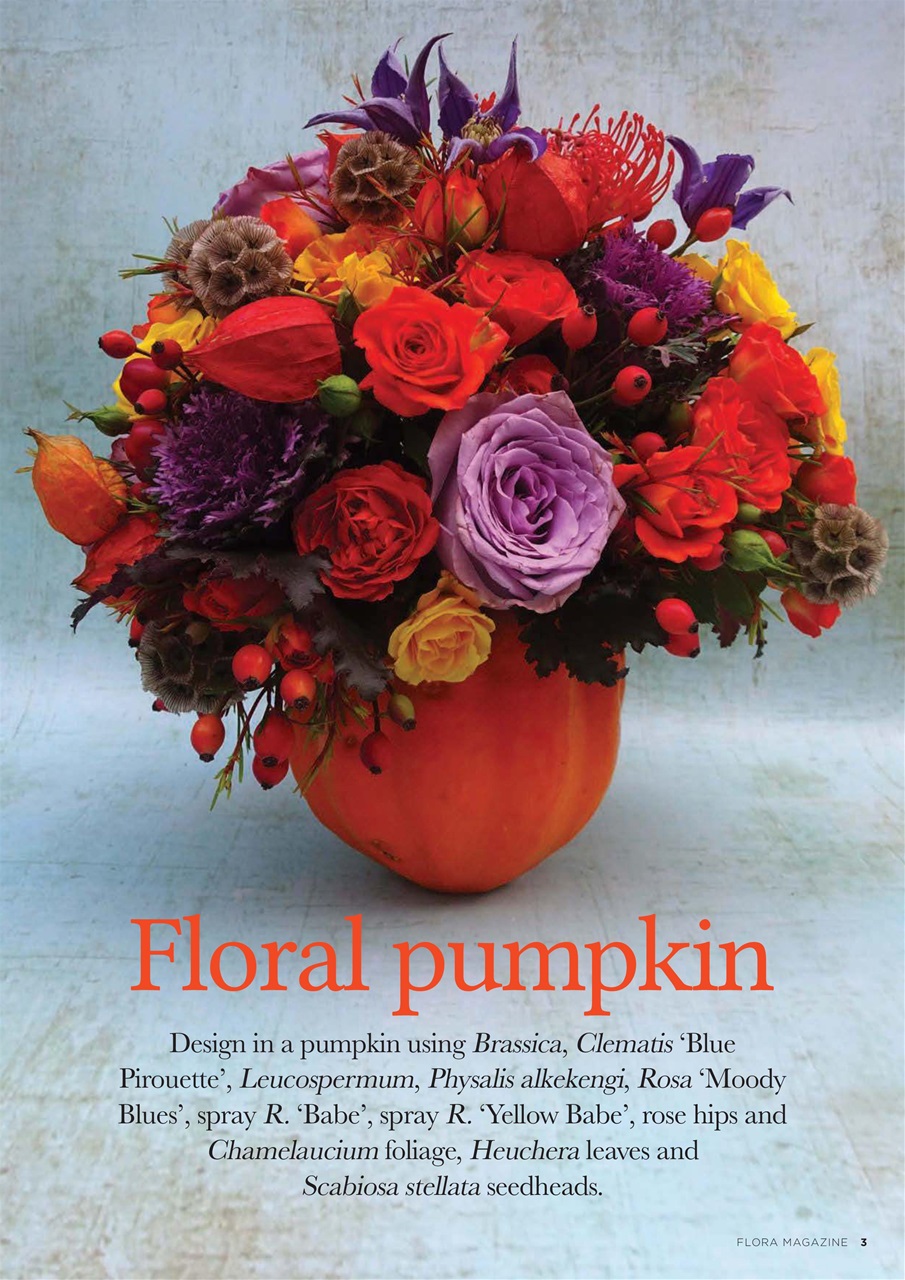 Flora International Preview Pages