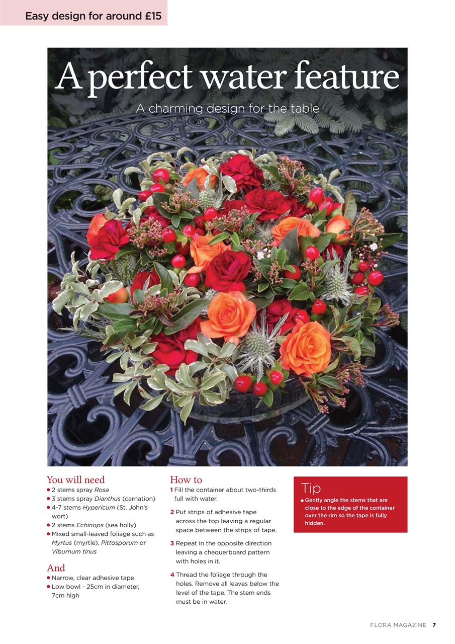 Flora International Preview Pages