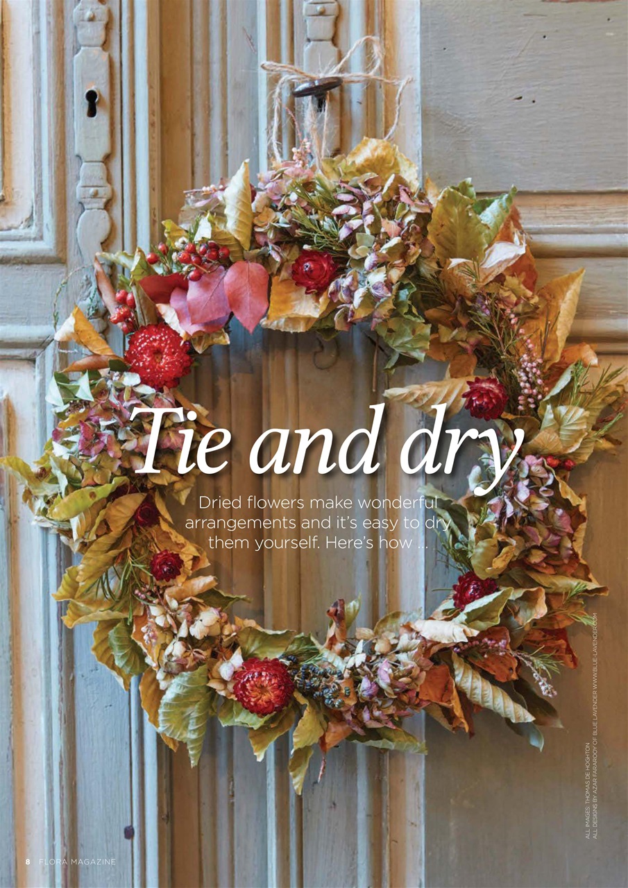 Flora International Preview Pages