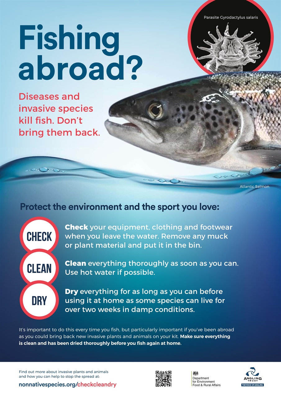 Trout Fisherman Preview Pages