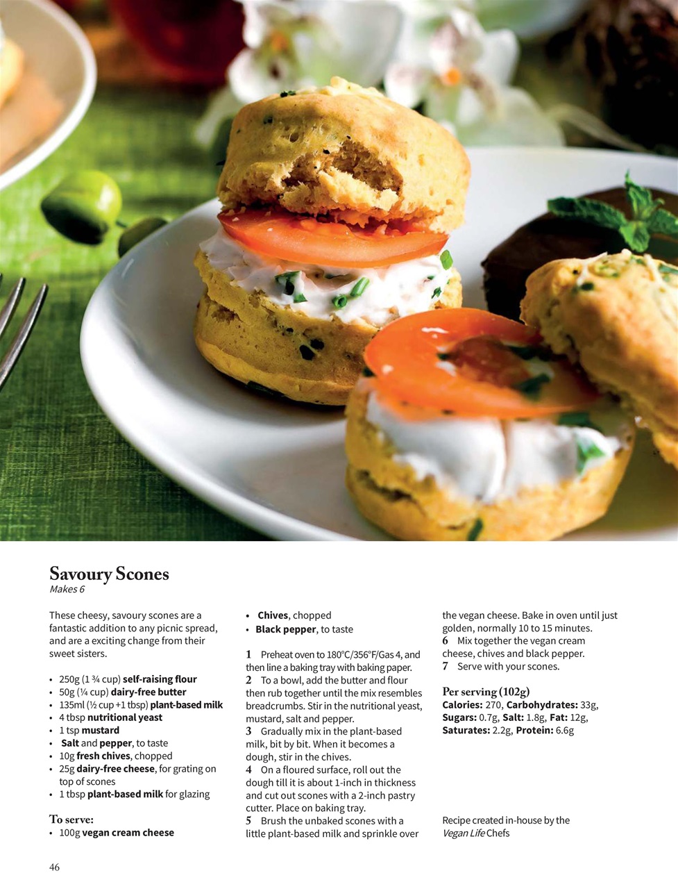 Vegan Life Preview Pages