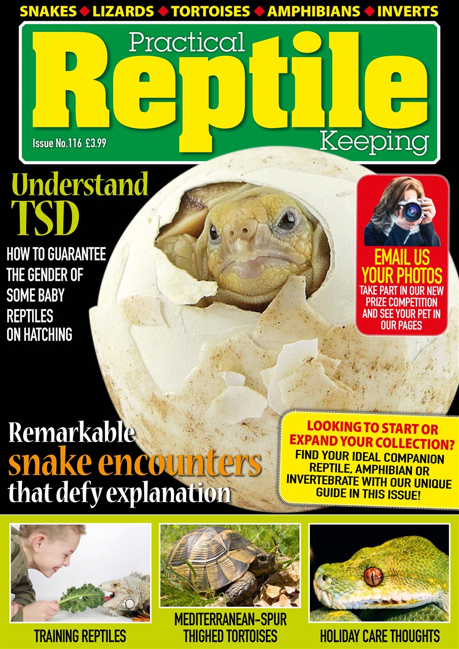 Practical Reptile Keeping Preview Pages