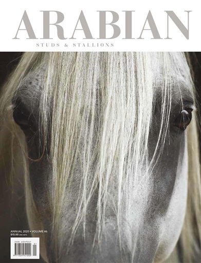 Arabian Studs & Stallions issue 