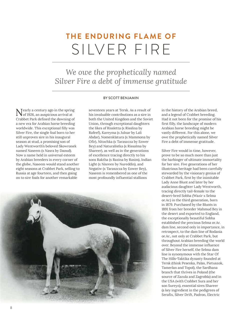 Arabian Studs & Stallions Preview Pages