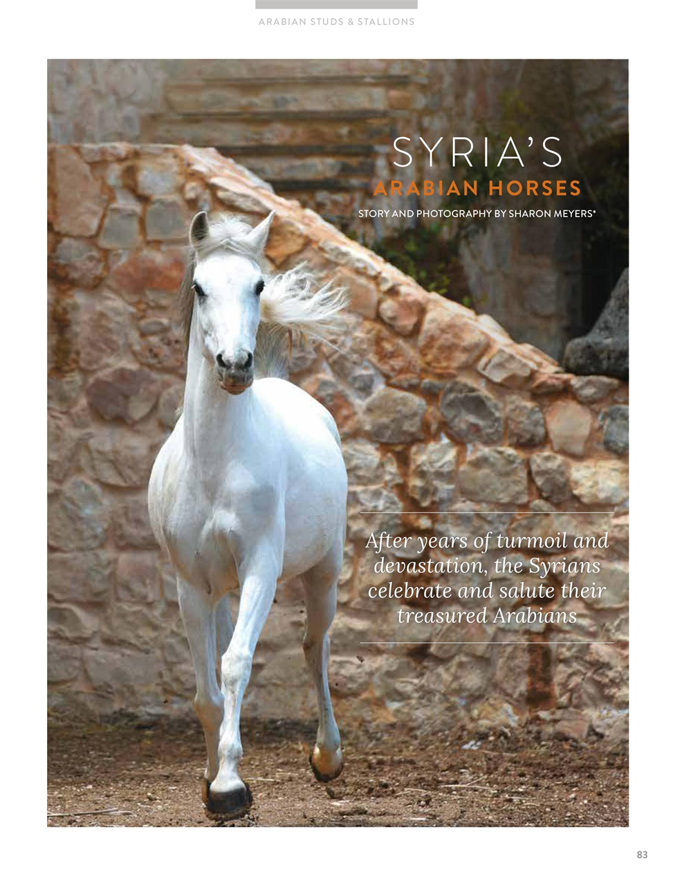 Arabian Studs & Stallions Preview Pages