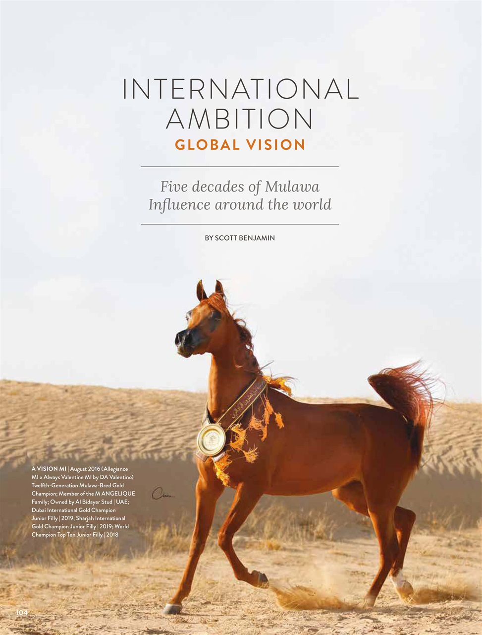 Arabian Studs & Stallions Preview Pages
