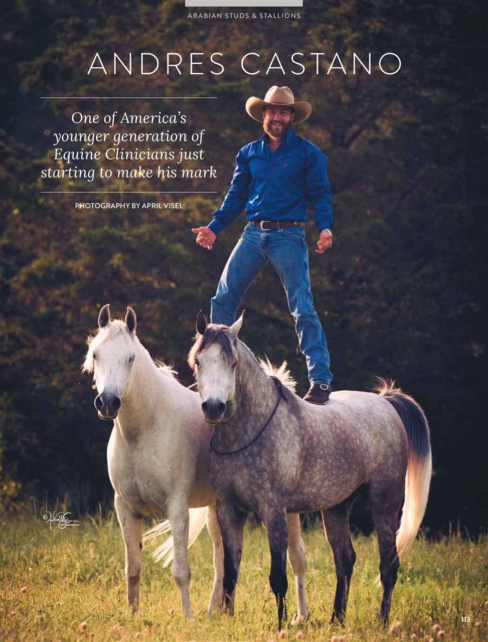 Arabian Studs & Stallions Preview Pages