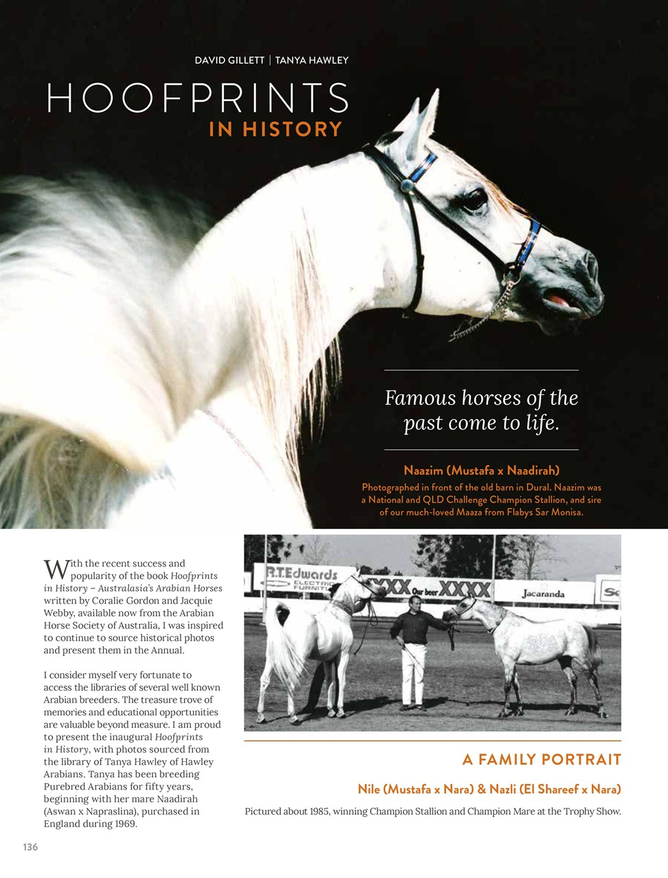 Arabian Studs & Stallions Preview Pages