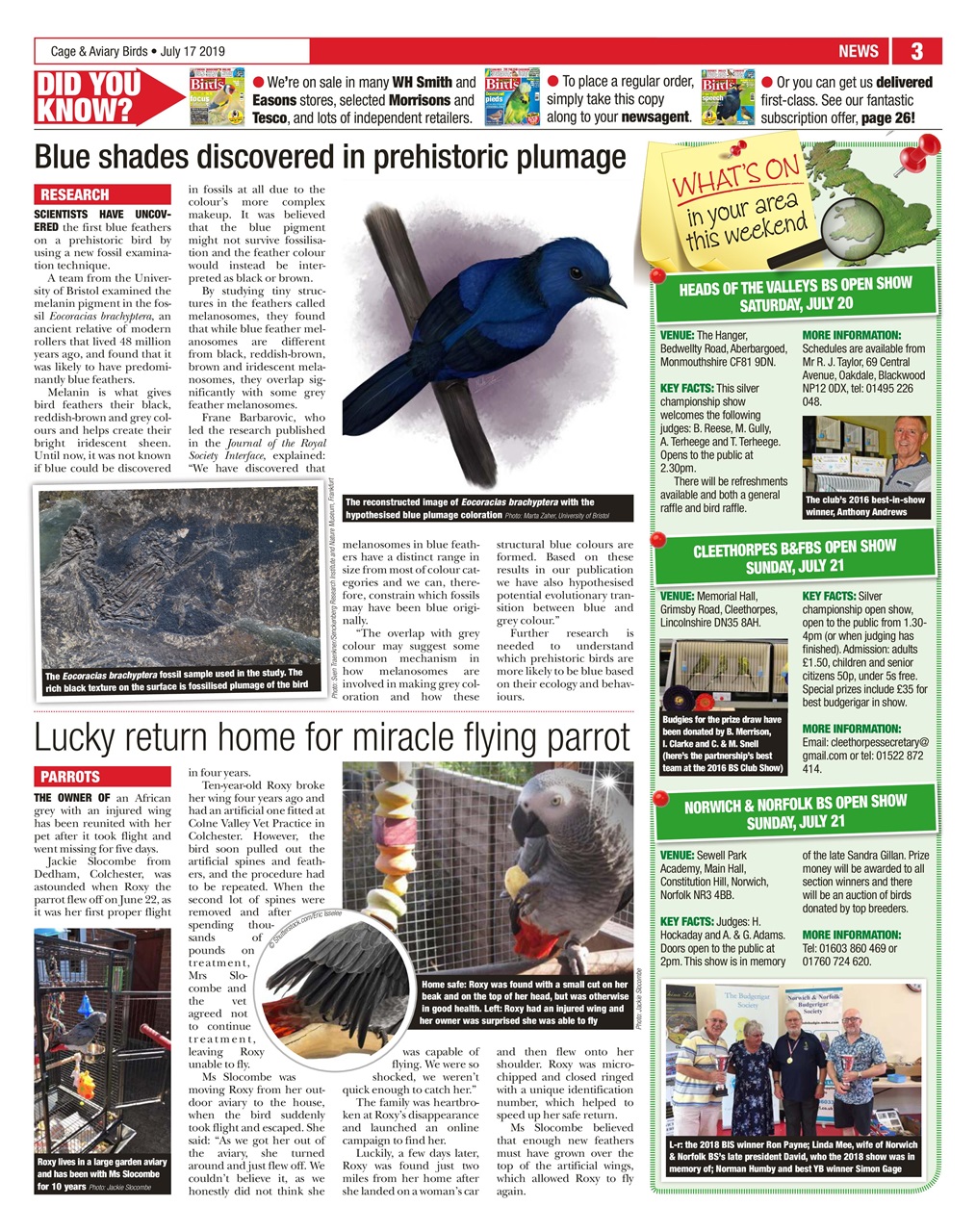 Cage & Aviary Birds Preview Pages