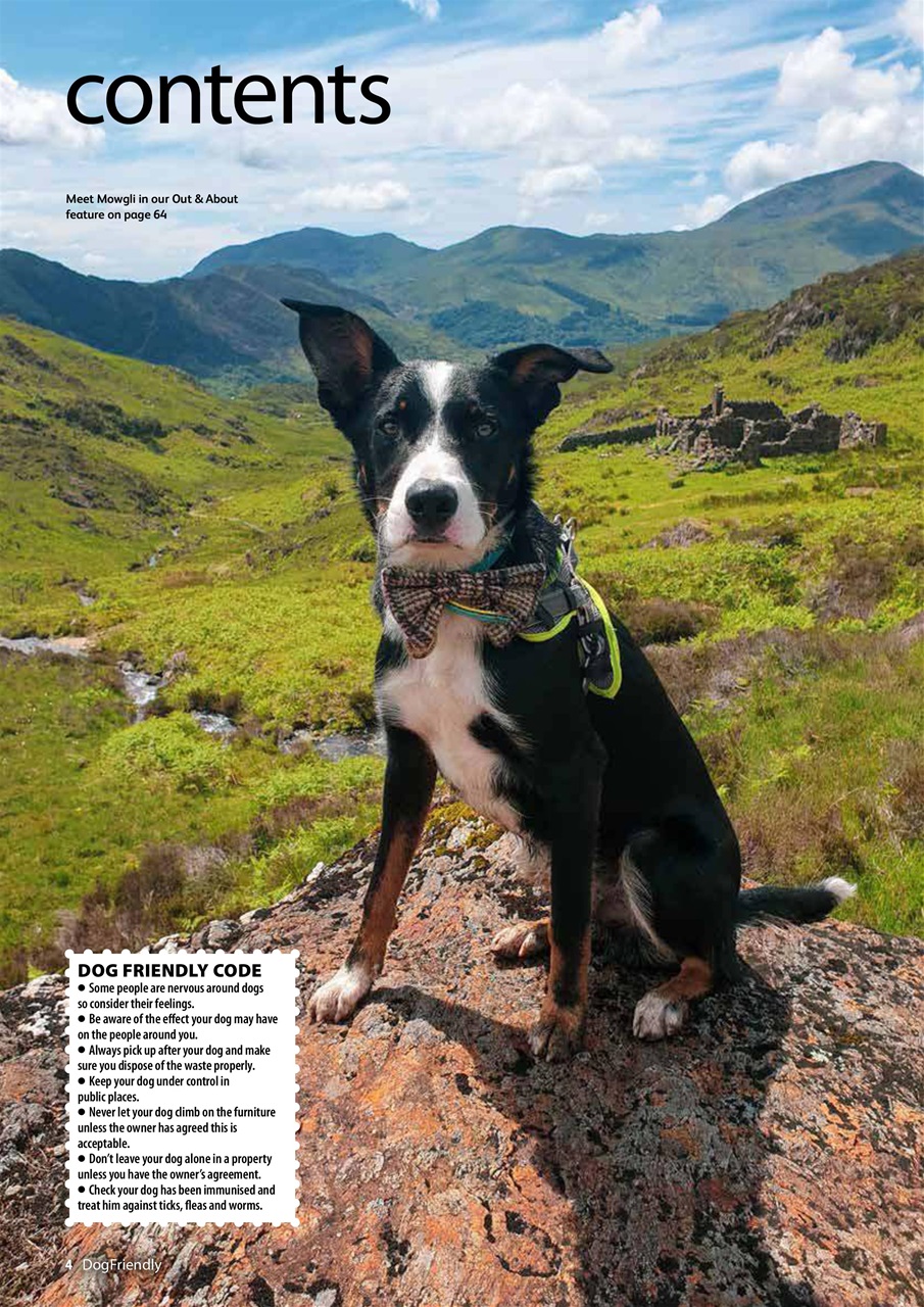 Dog Friendly Preview Pages