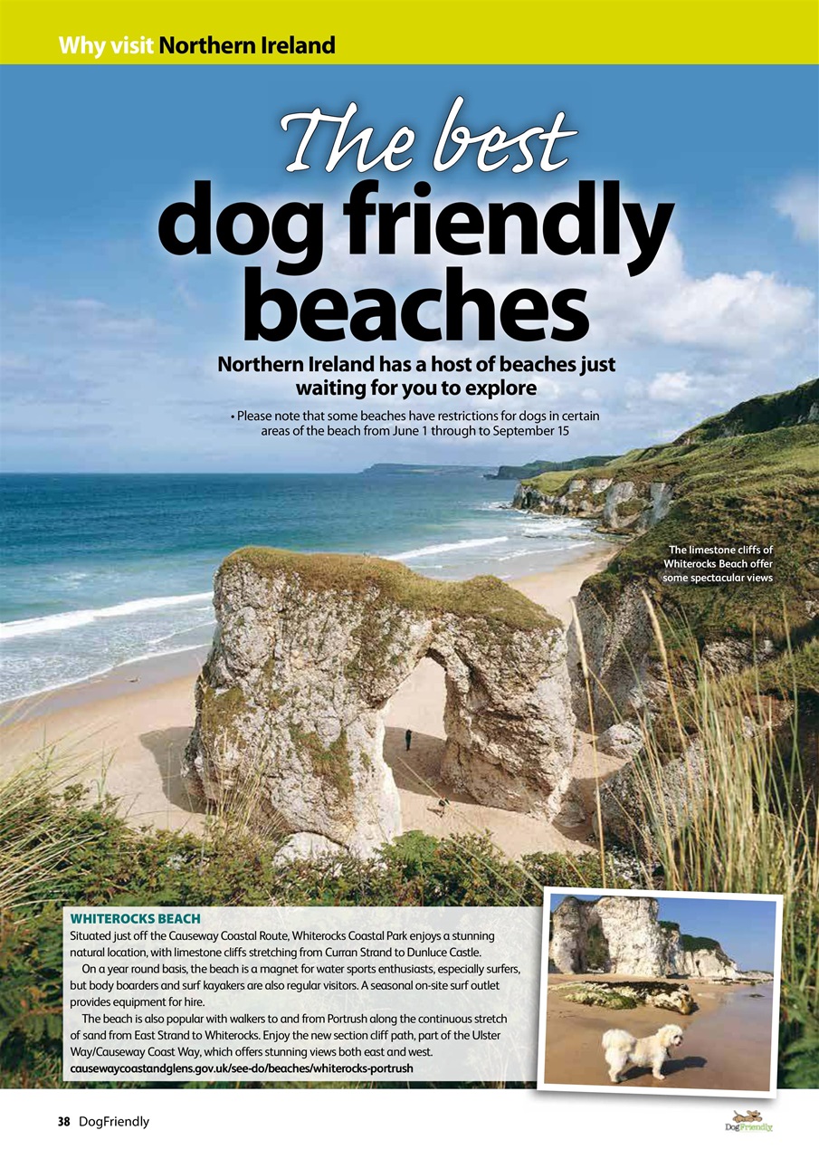 Dog Friendly Preview Pages