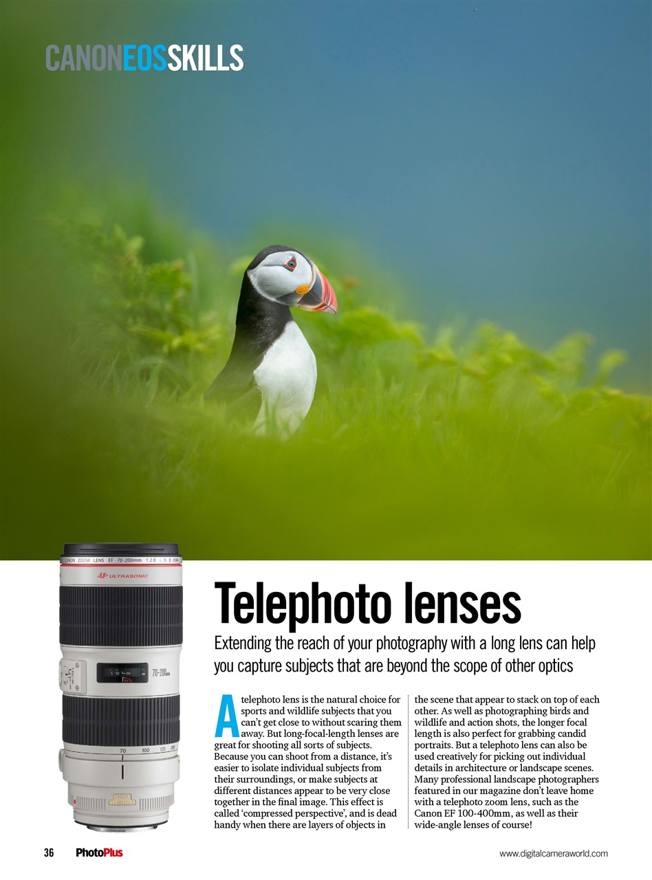 PhotoPlus Preview Pages