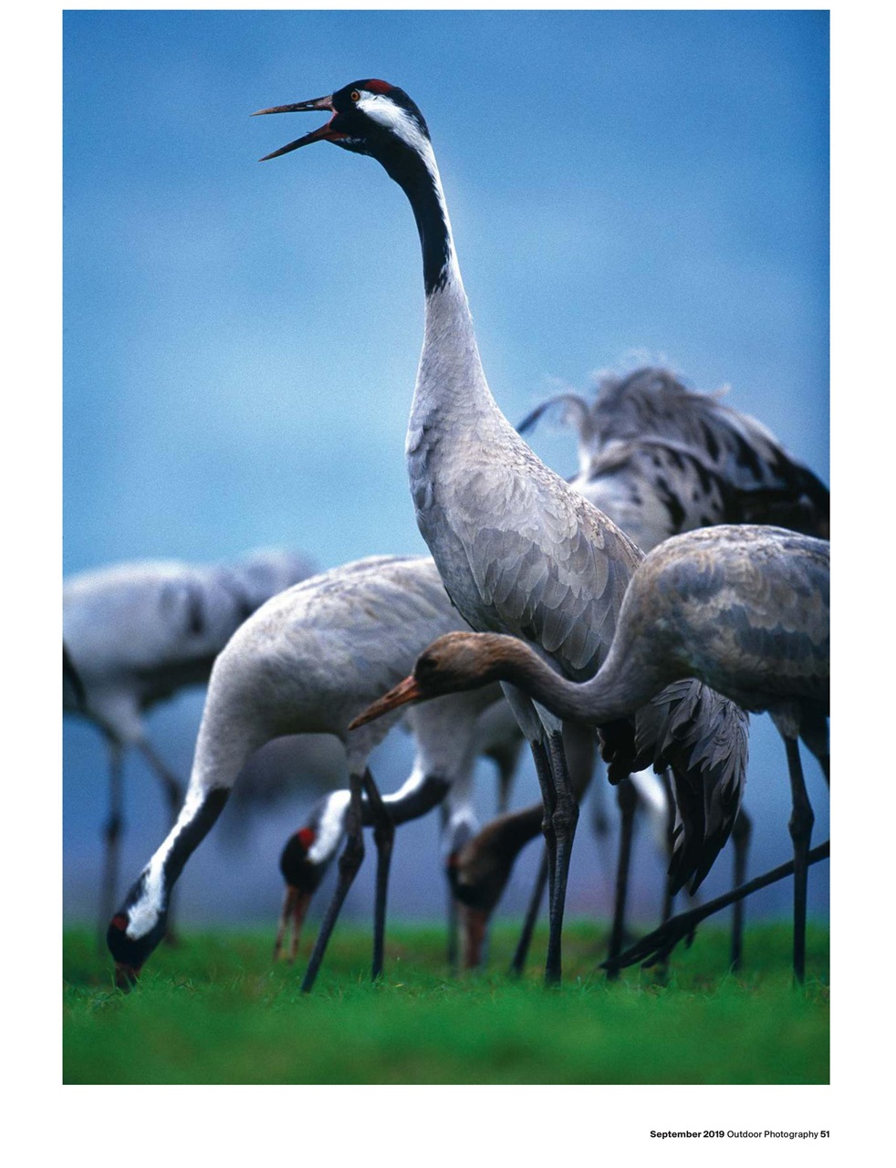 Outdoor Photography Preview Pages
