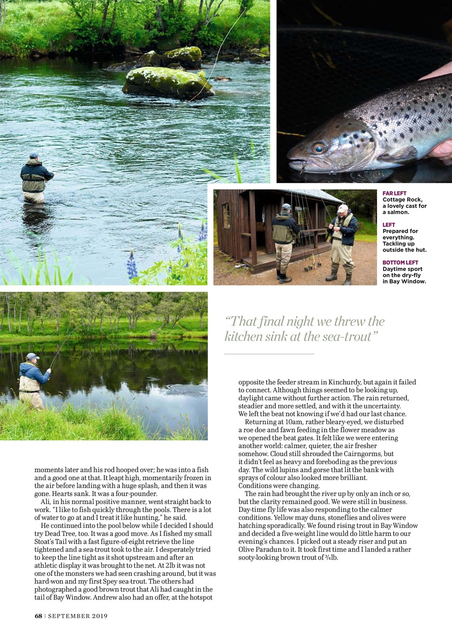 Trout & Salmon Preview Pages