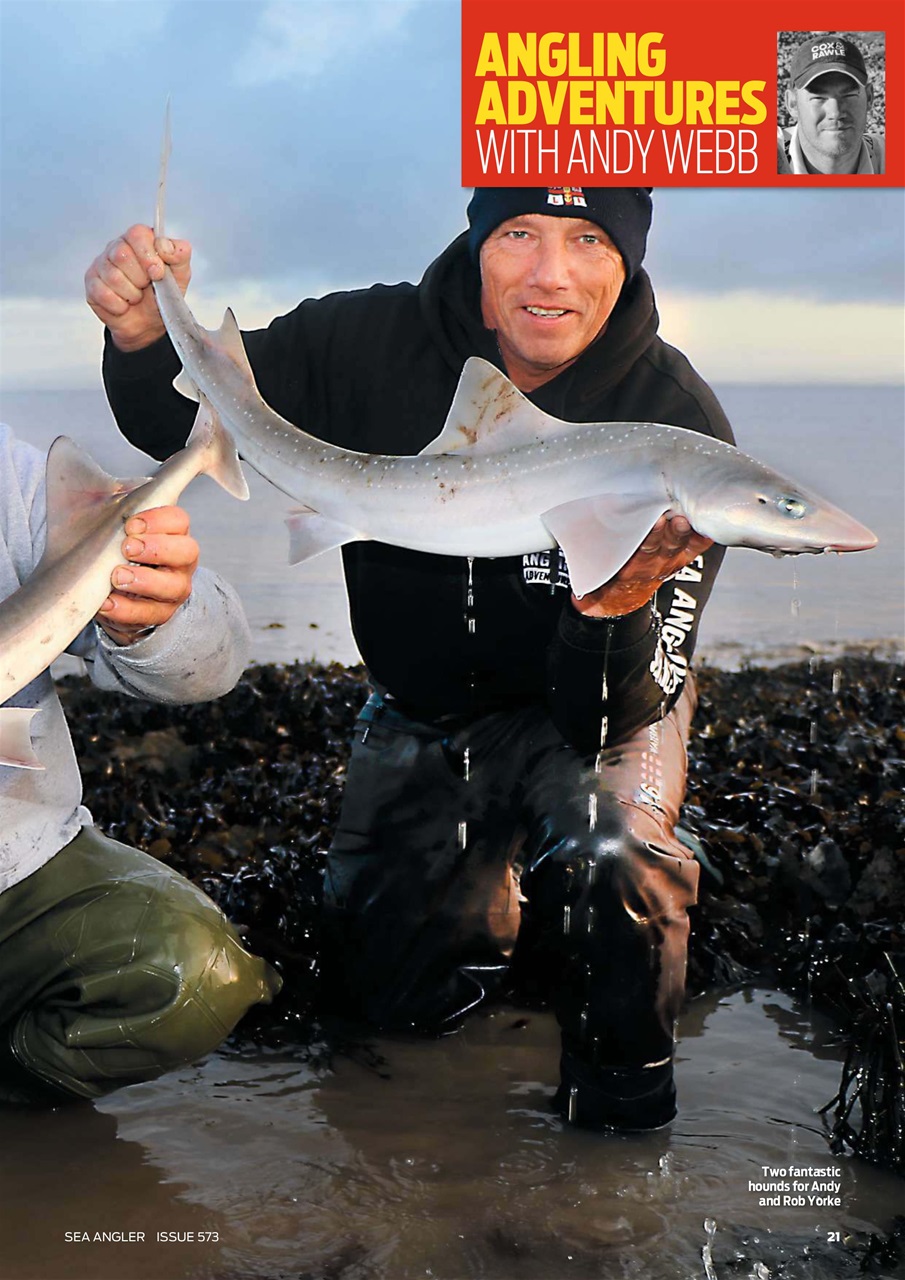 Sea Angler Preview Pages