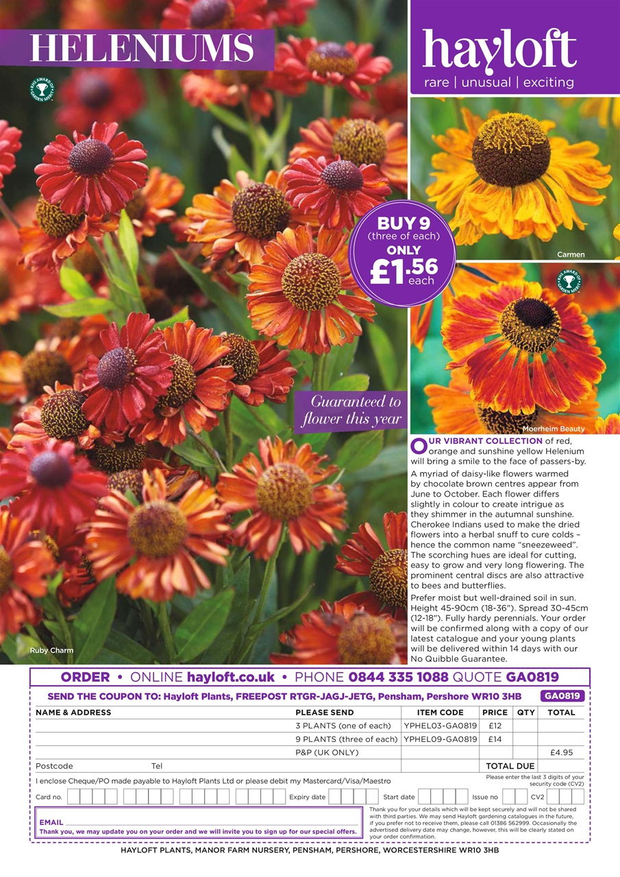 Garden Answers Preview Pages