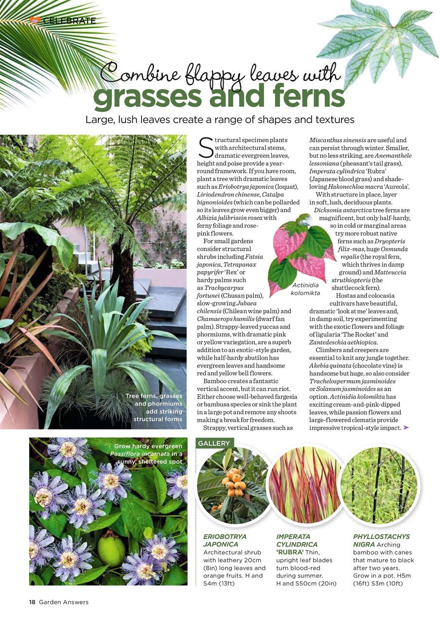 Garden Answers Preview Pages