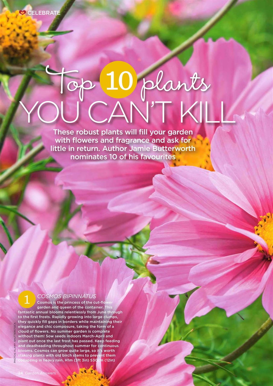 Garden Answers Preview Pages