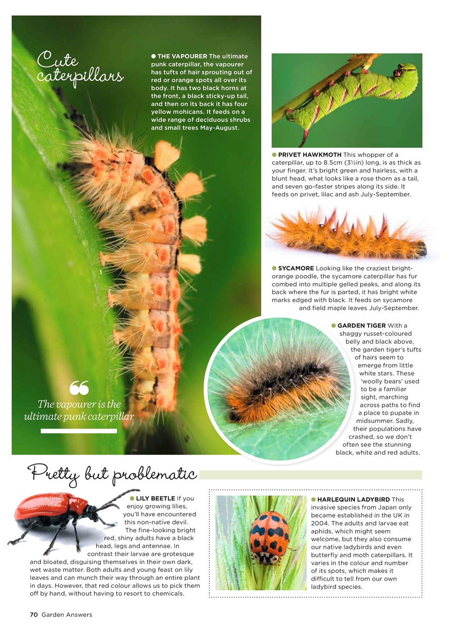 Garden Answers Preview Pages