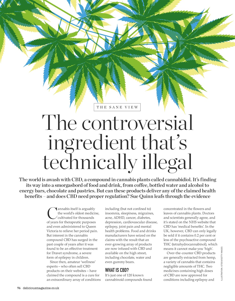 delicious. Magazine Preview Pages