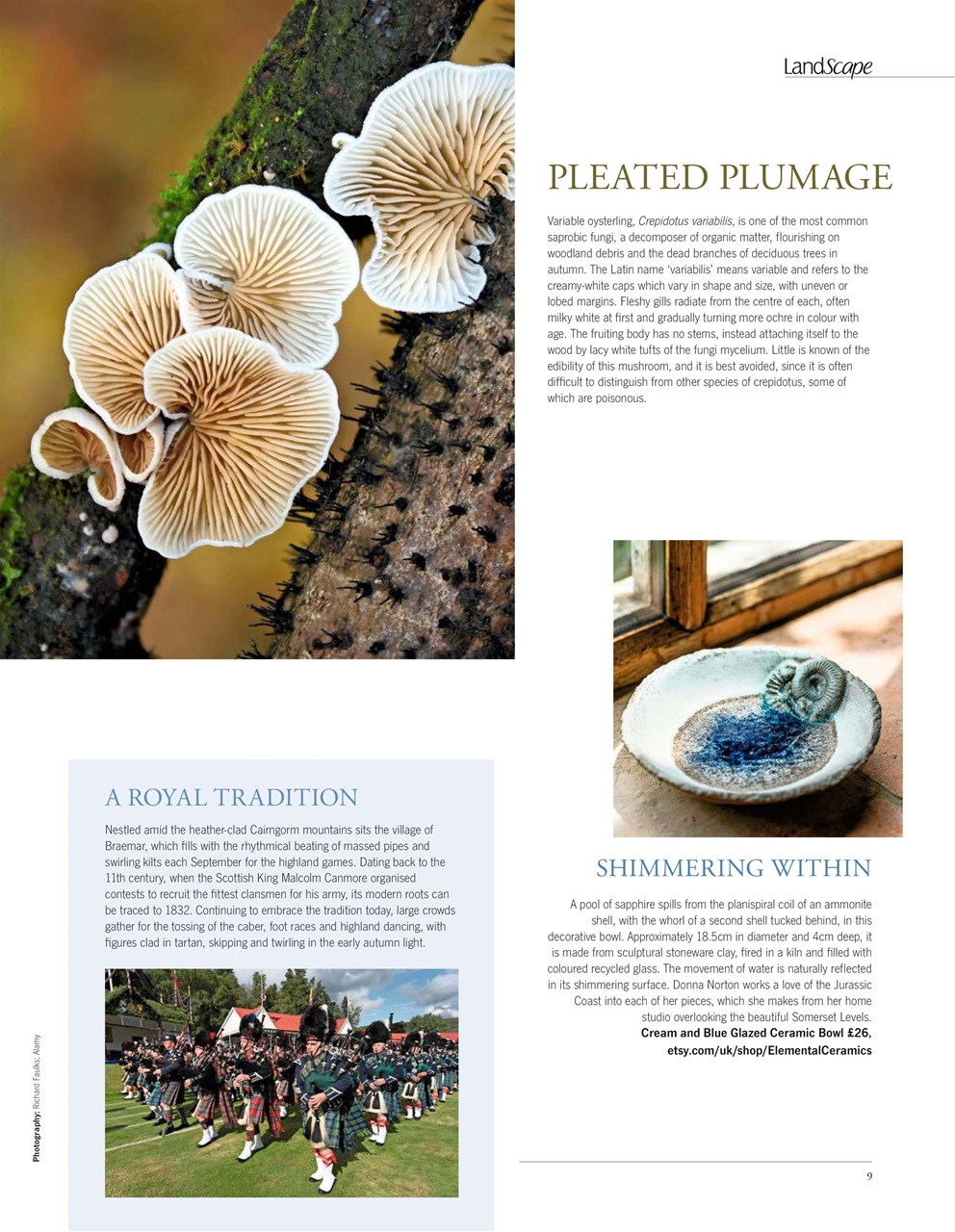 LandScape Preview Pages