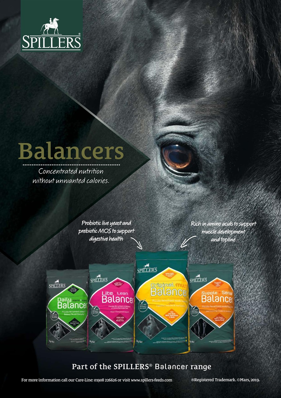 Your Horse Preview Pages