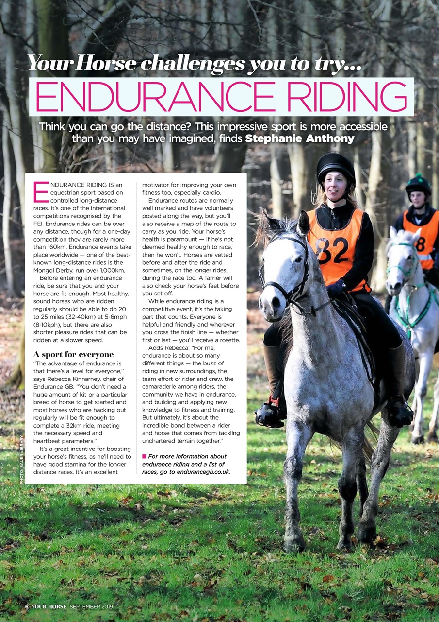 Your Horse Preview Pages