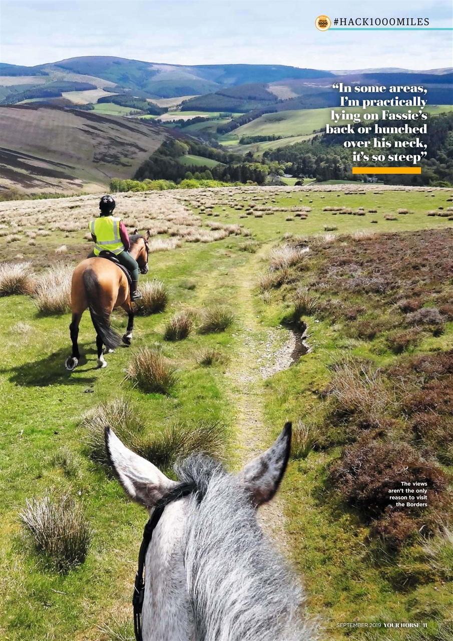 Your Horse Preview Pages