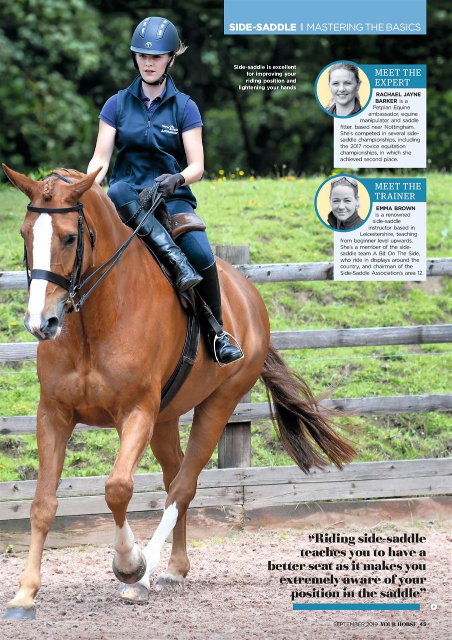 Your Horse Preview Pages