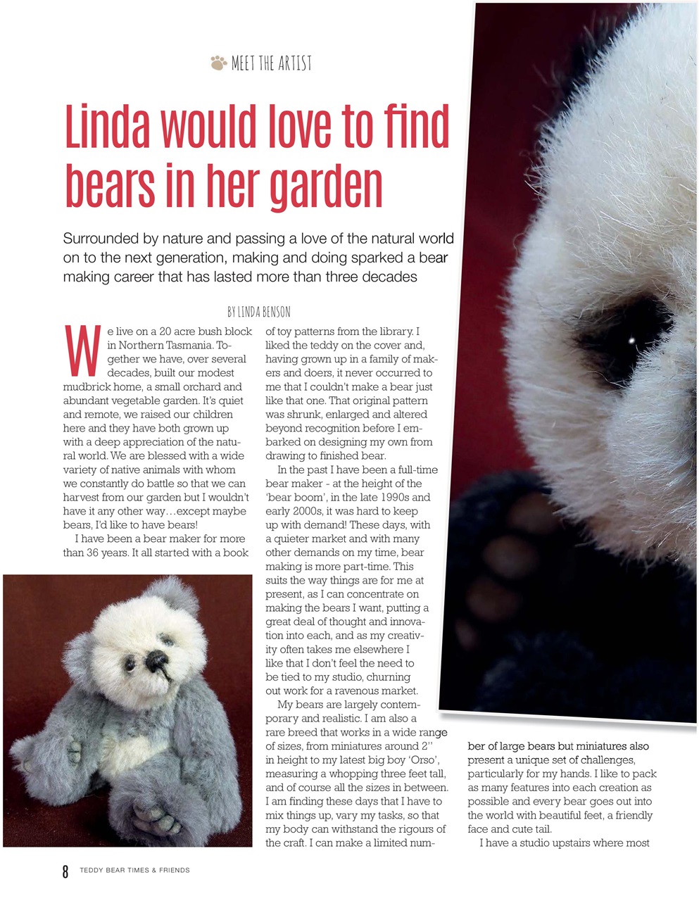 Teddy Bear Times Preview Pages