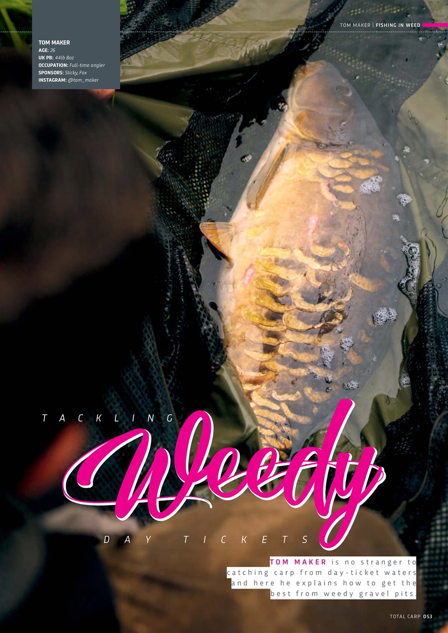 Total Carp Preview Pages