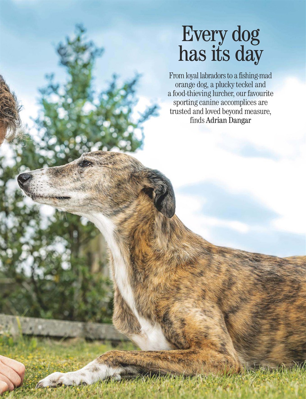 Country Life Preview Pages