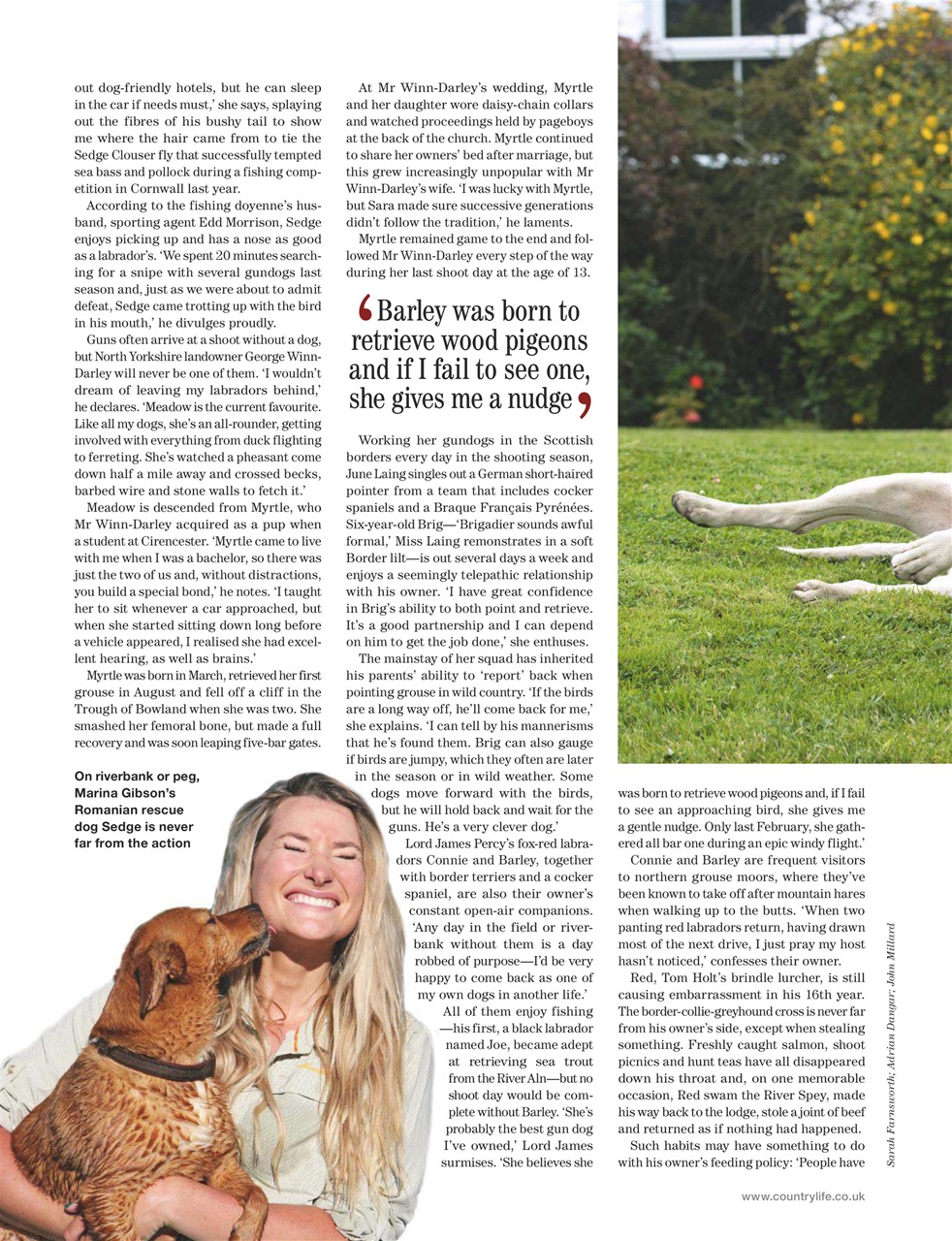 Country Life Preview Pages