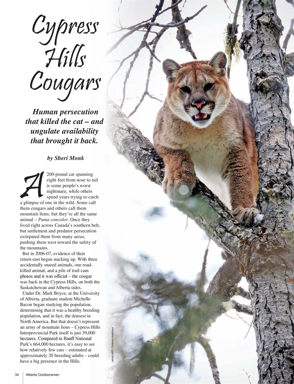 Alberta Outdoors Preview Pages